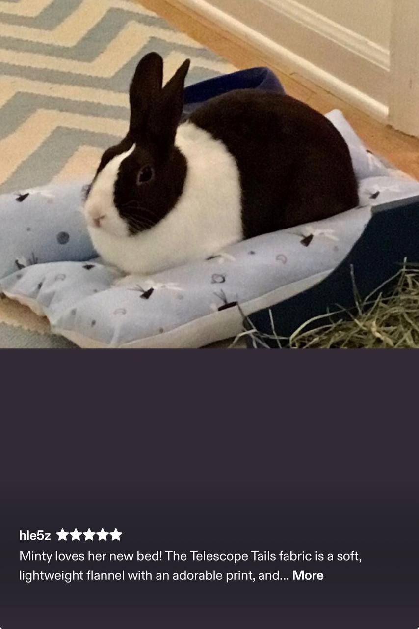Customer photo: Happy bunny in new BunnyBeds bed