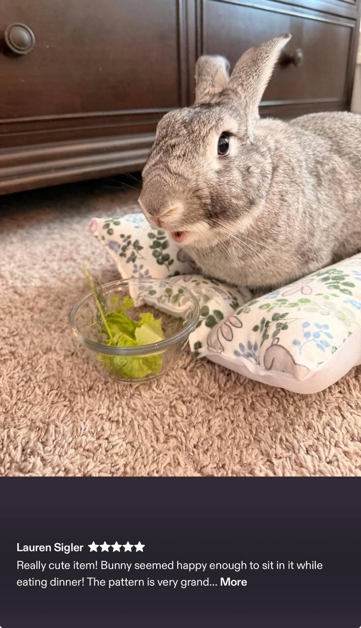Customer photo: Bunny eating treats on BunnyBeds