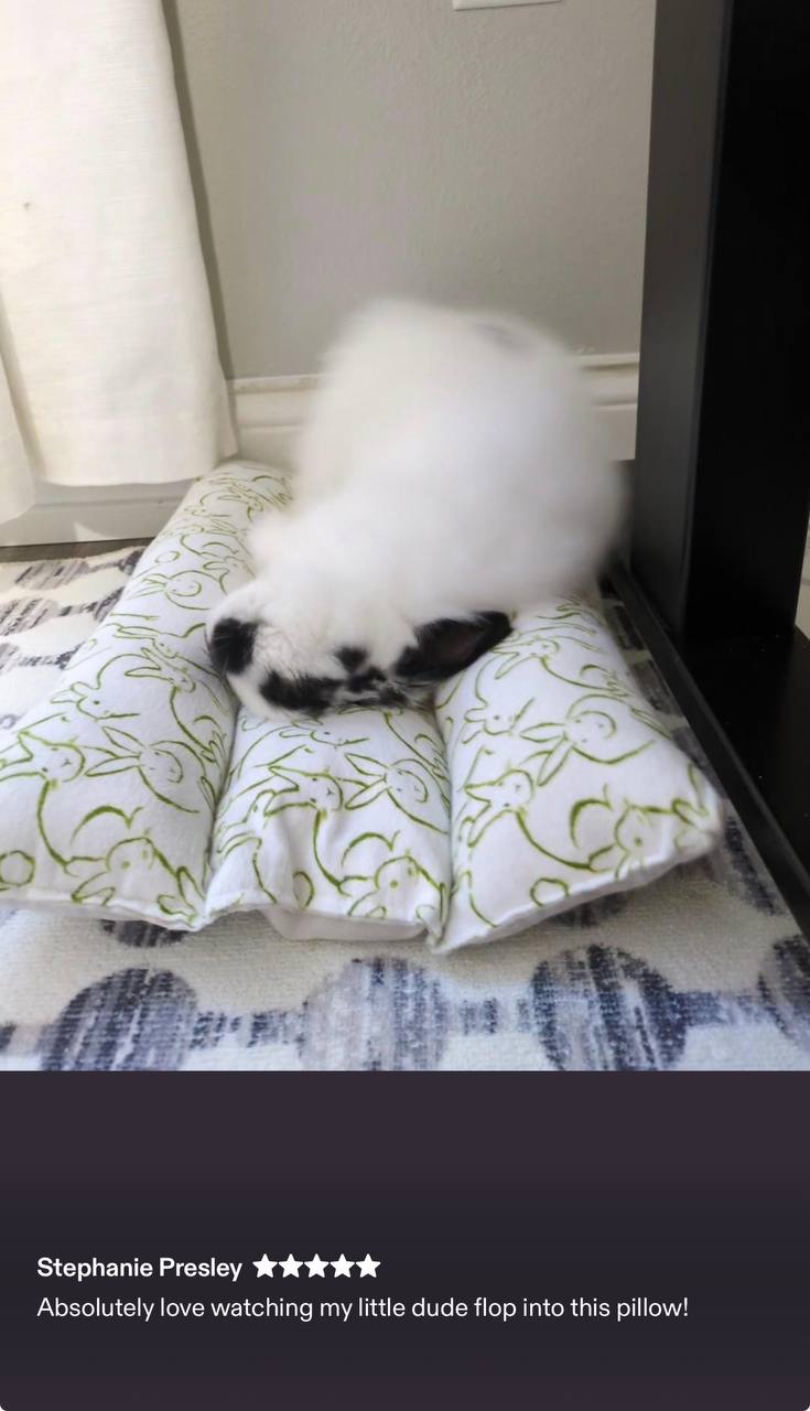 Customer photo: Bunny lounging comfortably on BunnyBeds