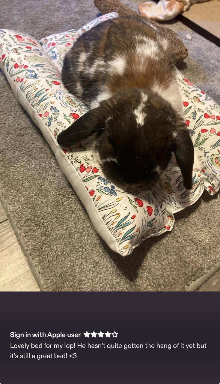 Customer photo: Bunny Pierre enjoying his BunnyBed