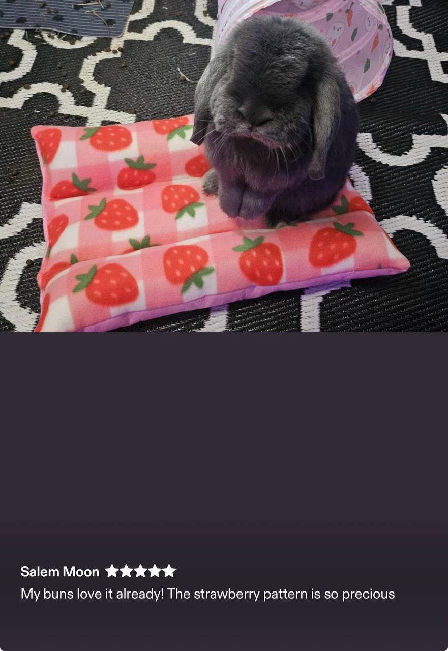Customer photo: Gray bunny on strawberry pattern BunnyBed