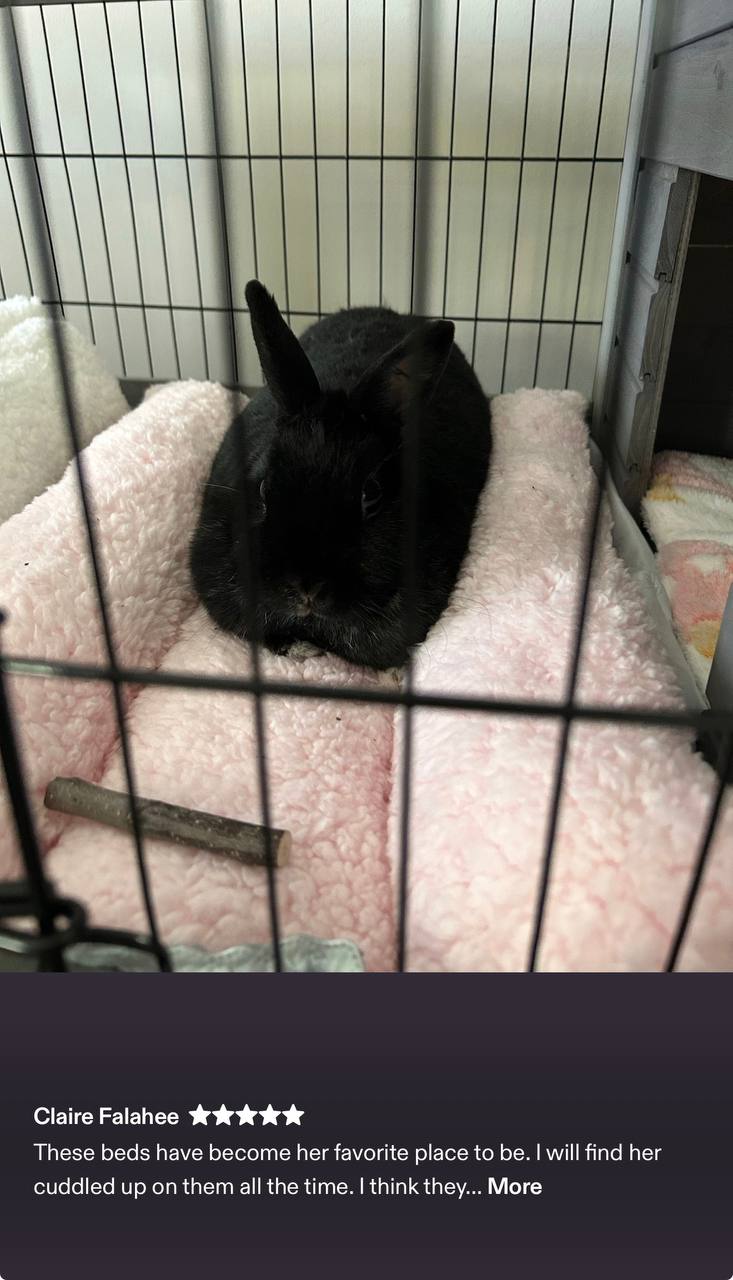 Customer photo: White bunny flopping into BunnyBeds pillow