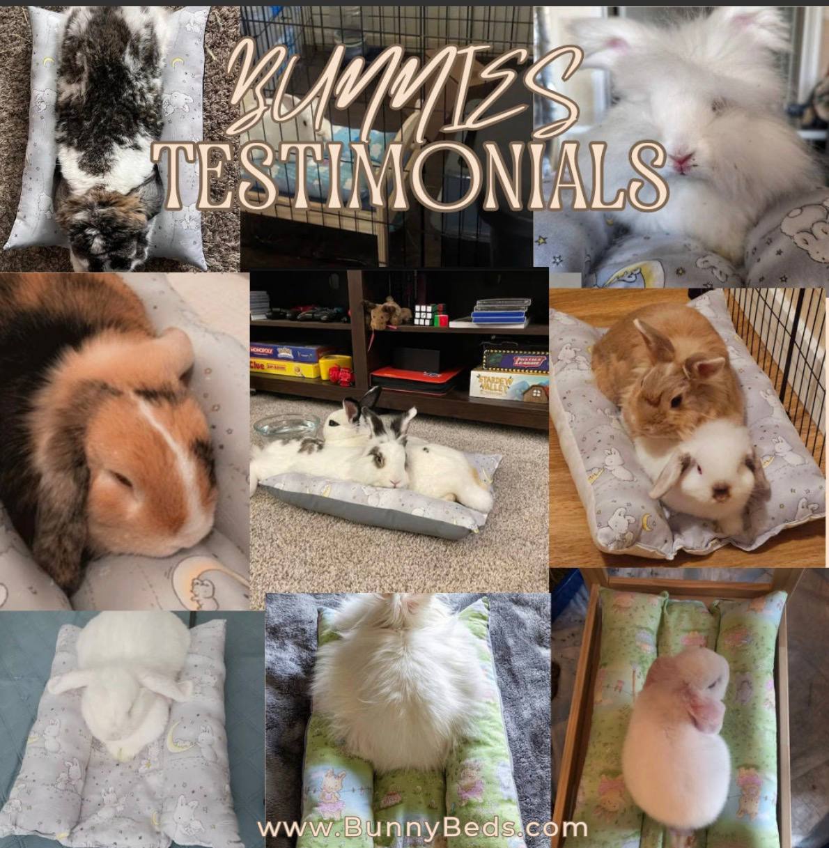 Collage of happy customer bunnies enjoying their BunnyBeds - real photos from bunny parents