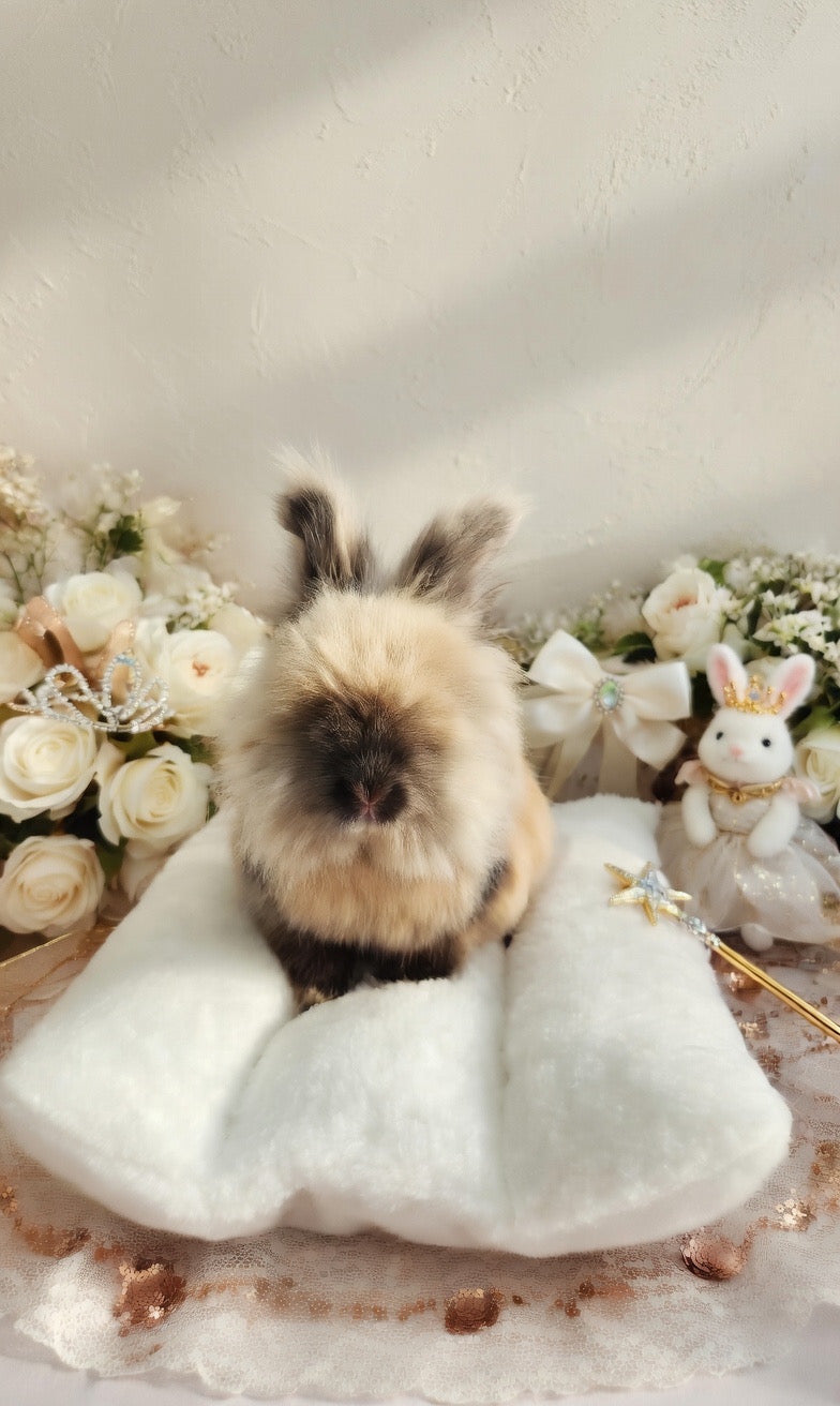 Reversible Bunny Duo Dream Bed | Organic Plush Nest