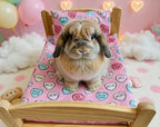 Bunny Bed Pad | Handmade Rabbit Cushion