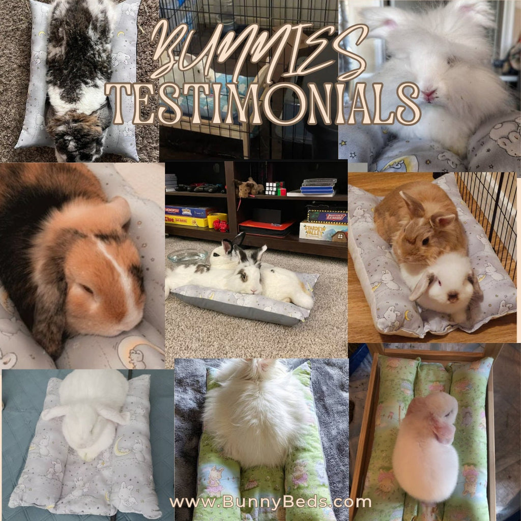 Bunny Dream Bed | Cozy Organic Handmade Rabbit Bed