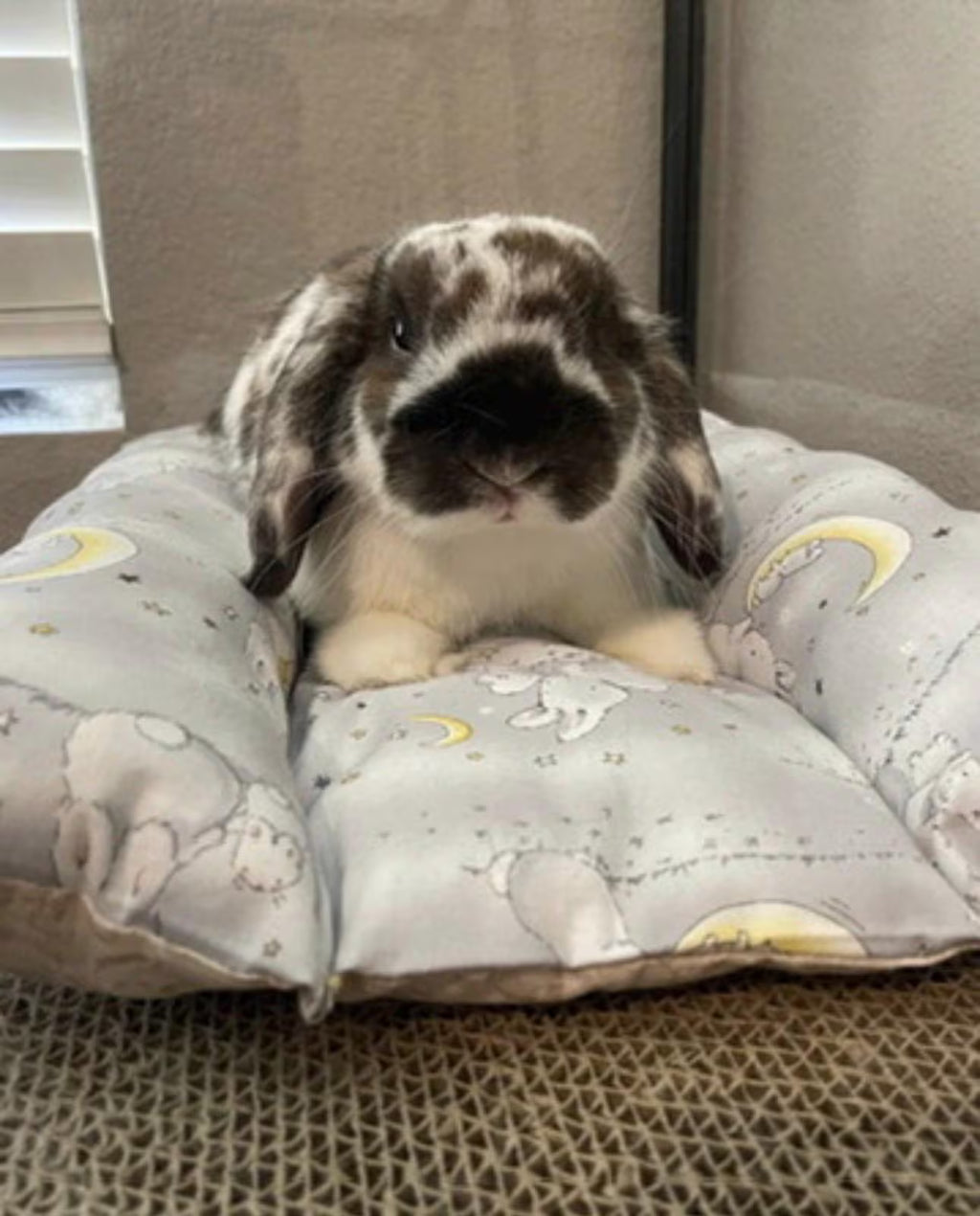 Bunny Dream Bed | Cozy Organic Handmade Rabbit Bed