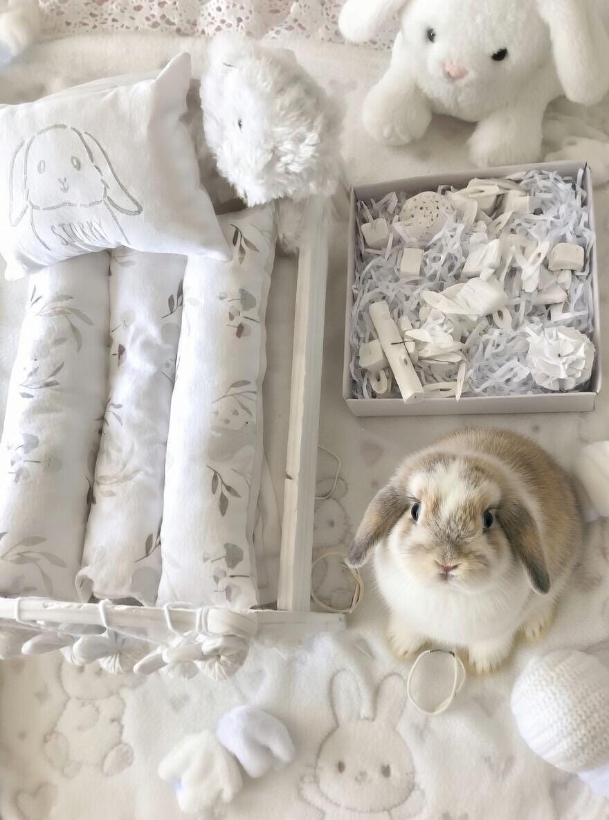 Bunny Dream Bed | Cozy Organic Handmade Rabbit Bed